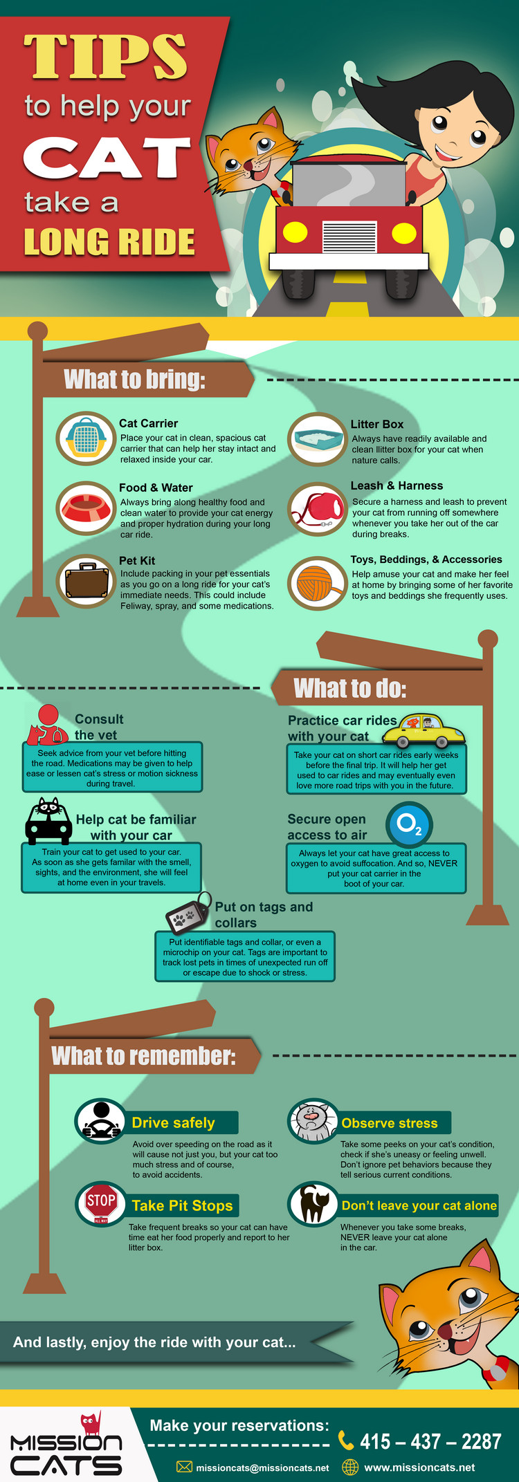 15 Cat Tips: How To Help Your Cat Take A Long Ride