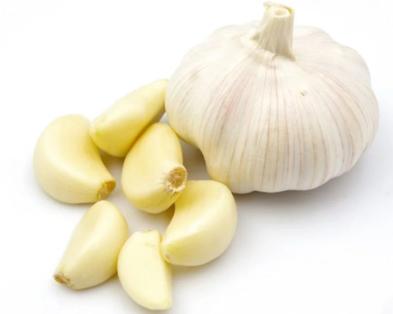 Garlic.