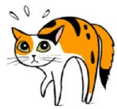 cat arched back and flattened ears