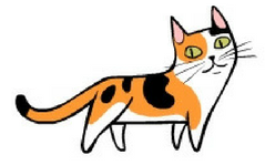 cat peering over the shoulder shows interest