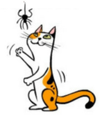 cat reaching for things