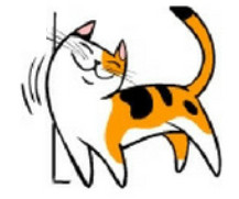 cat rubbing its skin