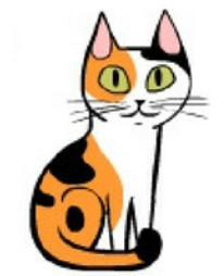 Sitting straight with tails in front displays attention