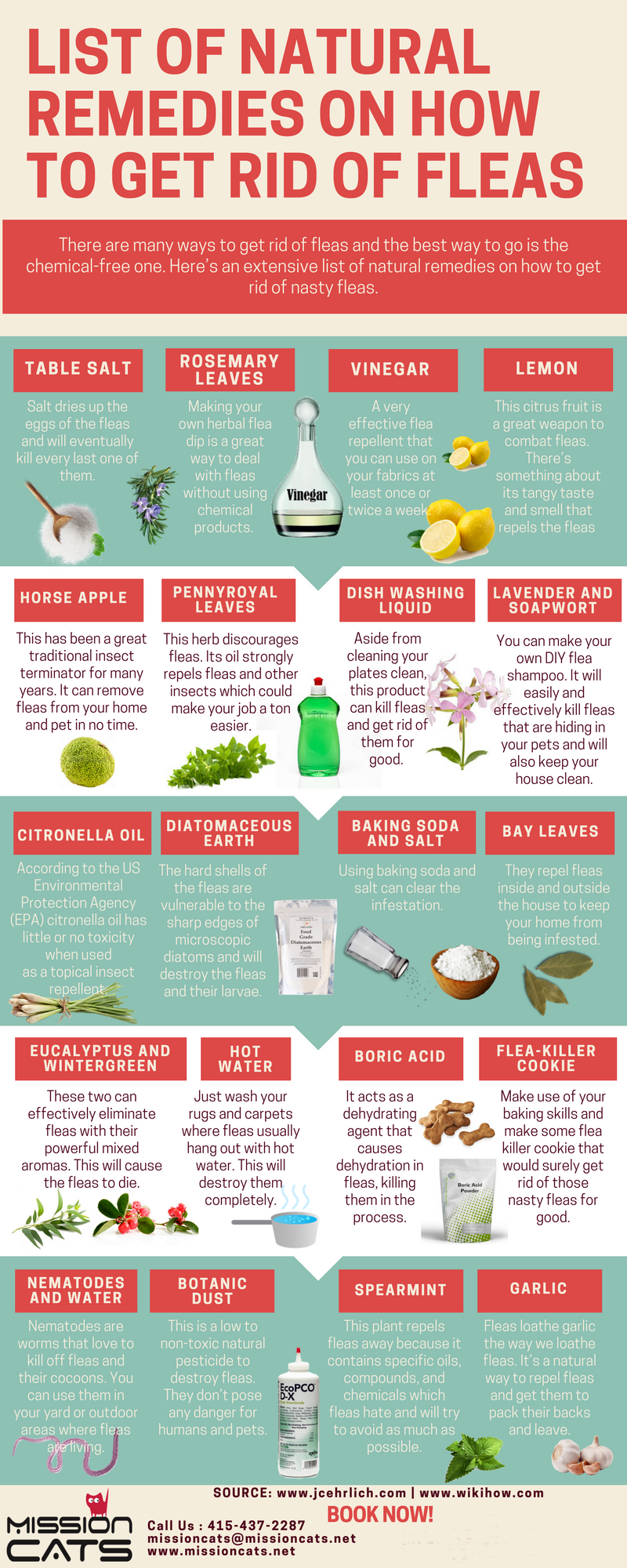 List of Natural Remedies on How to Get Rid of Fleas