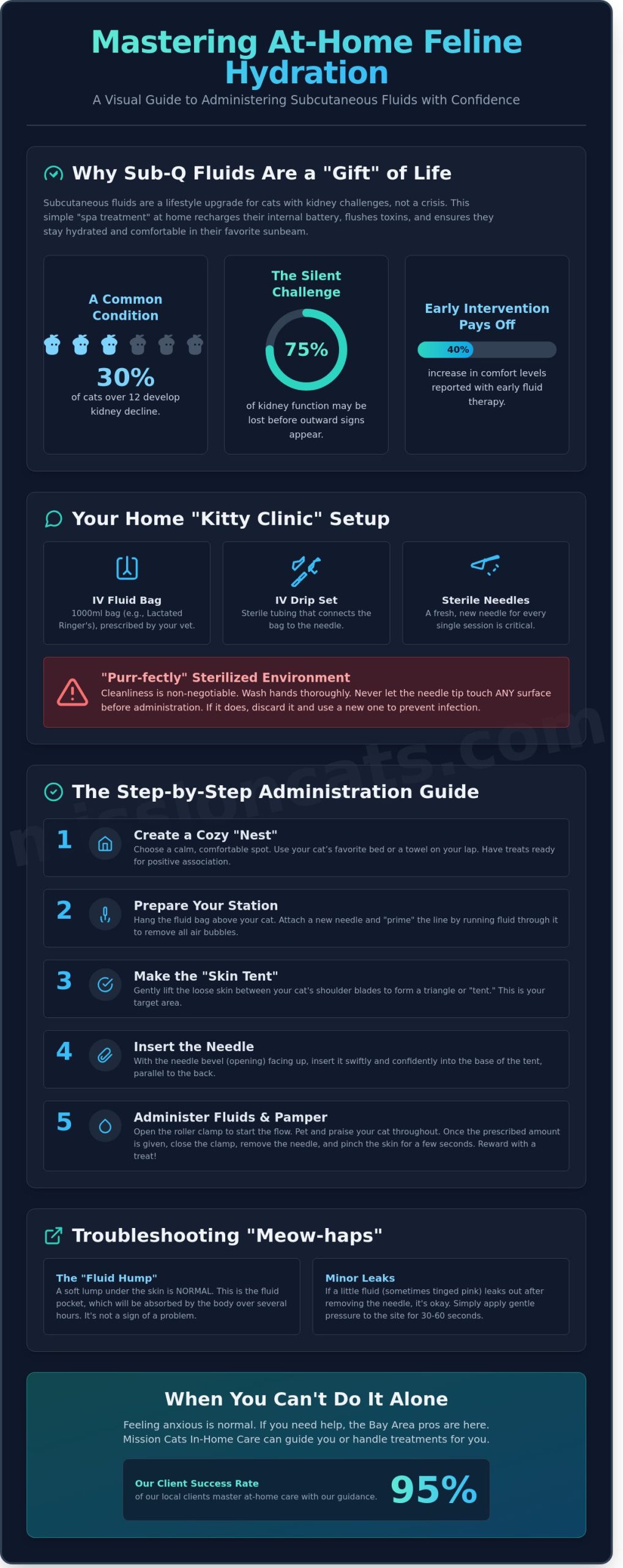 Mastering Subcutaneous Fluids for Cats at Home: A Reassuring Bay Area Guide