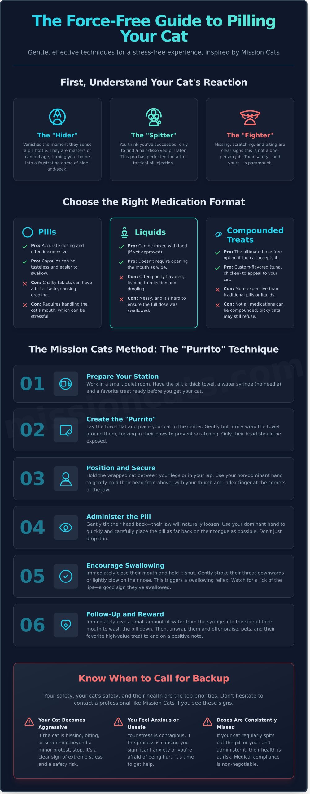 Oral Medication for Cats: A Stress-Free Guide for Bay Area Cat Parents