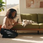 Vacation Cat Care in Walnut Creek: Stress-Free In-Home Sitting for Your VIP